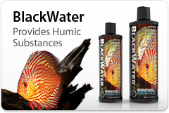 Brightwell Aquatics BlackWater - humic substances... (125ml) 17