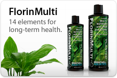 Brightwell Aquatics FlorinMulti - Multi nutrients, 14 elements for planted aquaria (250ml) 12